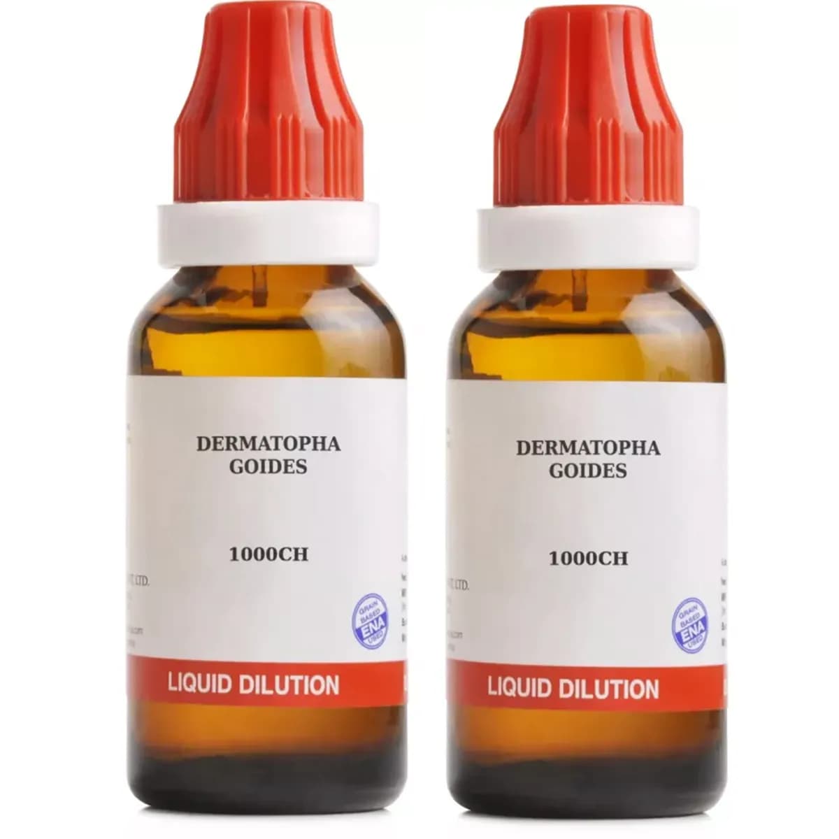 Dermatopha Goides