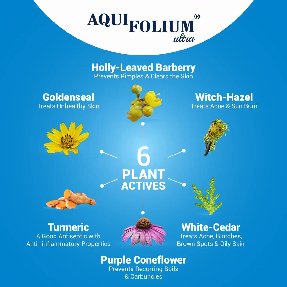 Aquifolium Ultra Lotion 4