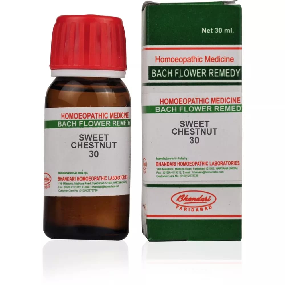 Sweet Chestnut
