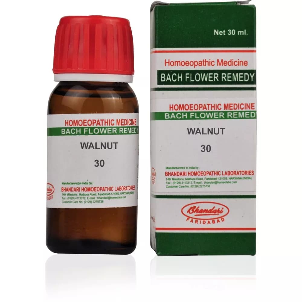 Walnut