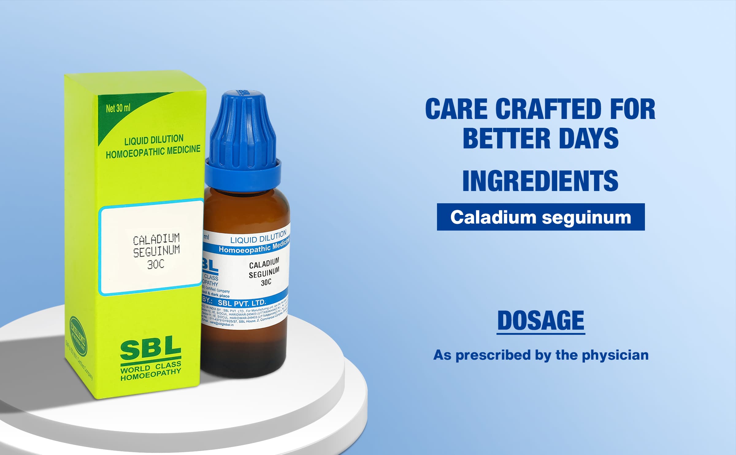 Caladium Seguinum 5