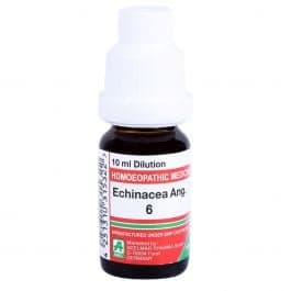 Echinacea Angustifolia 7