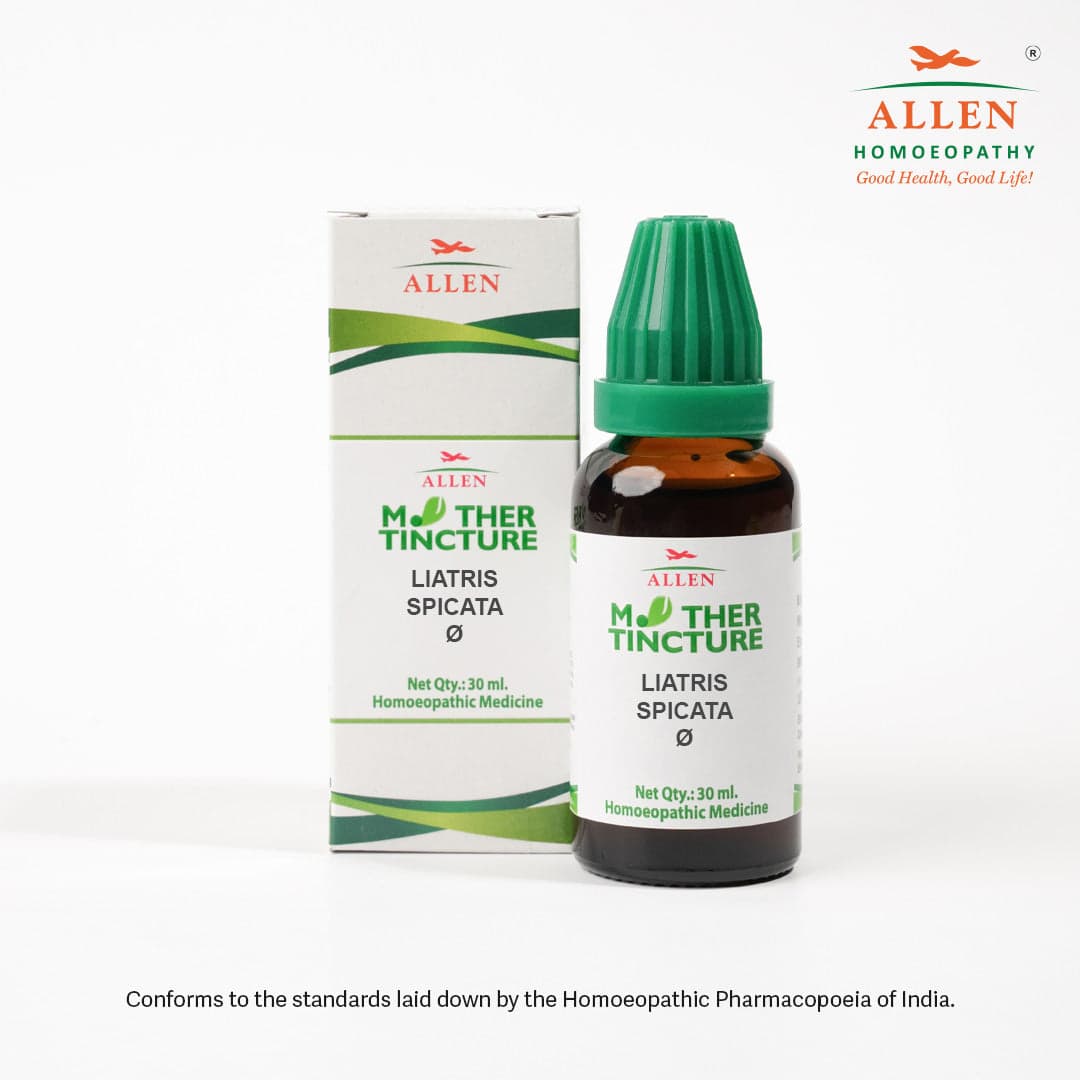 Liatris Spicata 2