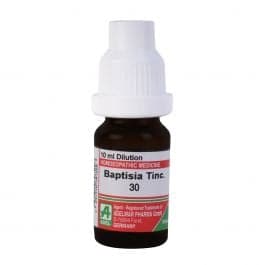 Baptisia Tinctoria 8