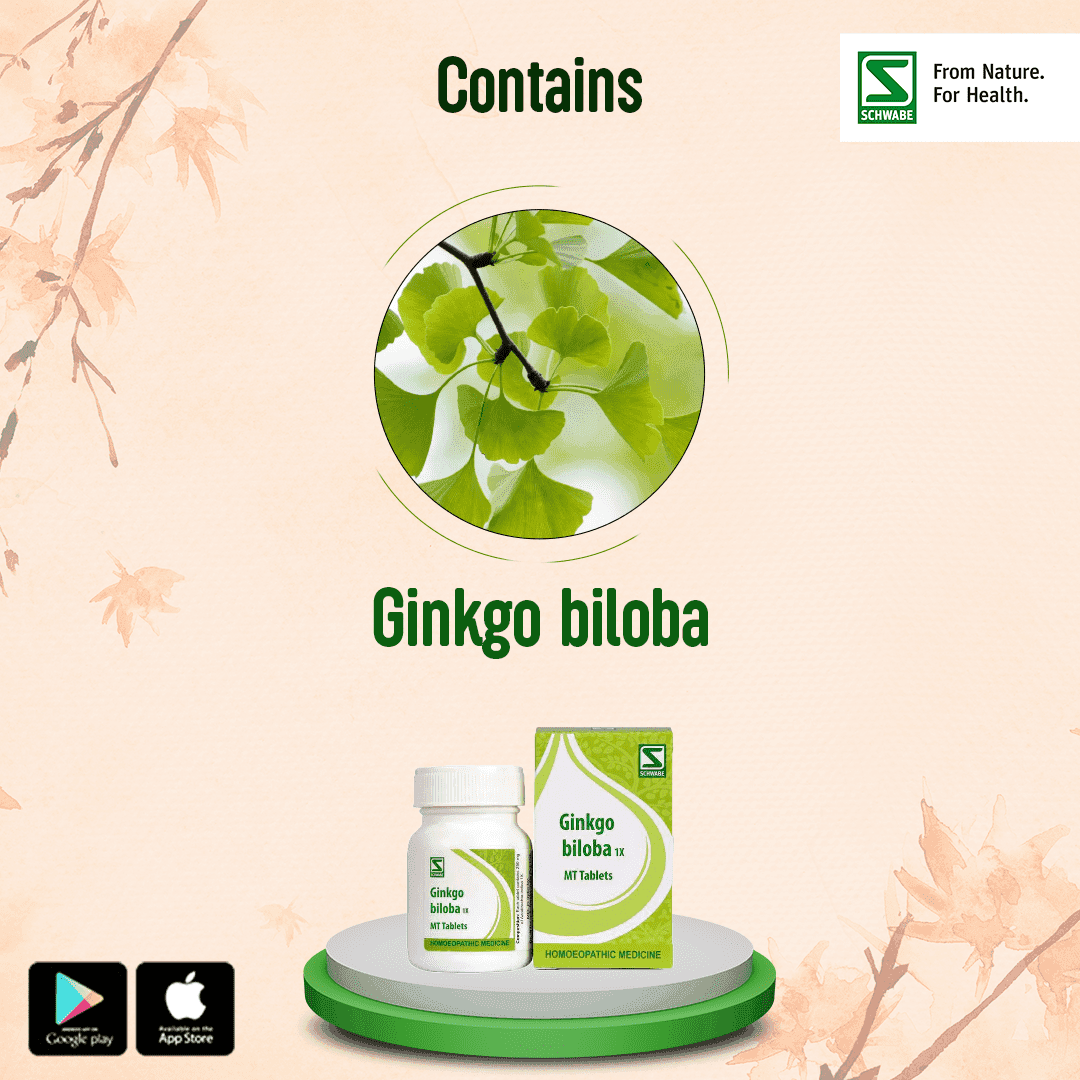 Ginkgo Biloba 2