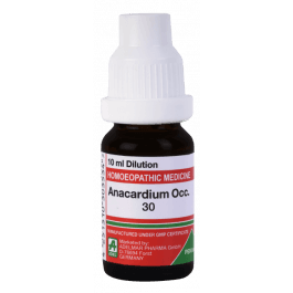 Anacardium Occidentale 9