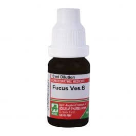 Fucus Vesiculosus 5