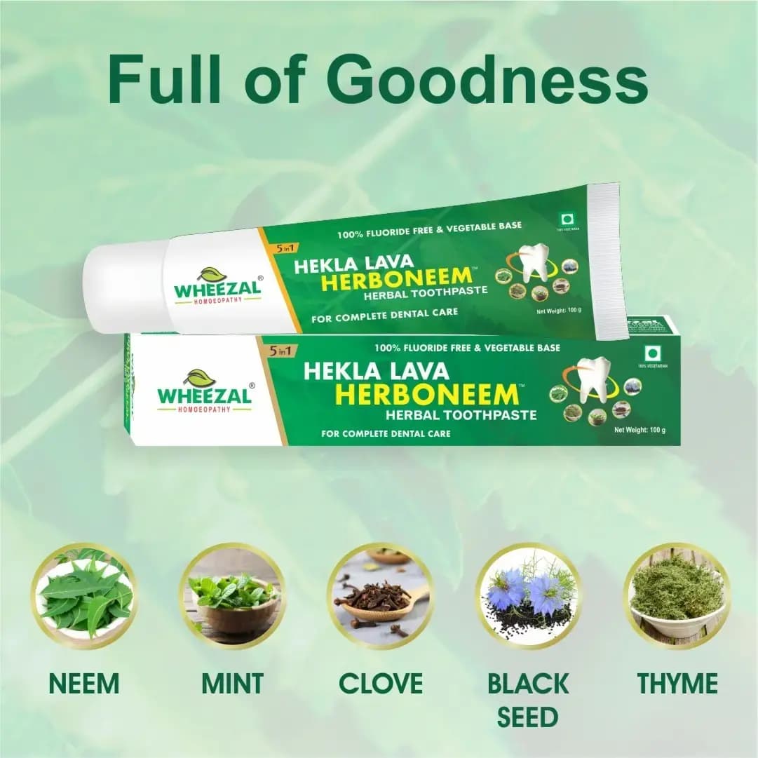 WHEEZAL HEKLA LAVA HERBONEEM HERBAL TOOTHPASTE 100 GM 4