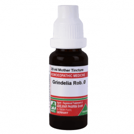 Grindelia Robusta 7