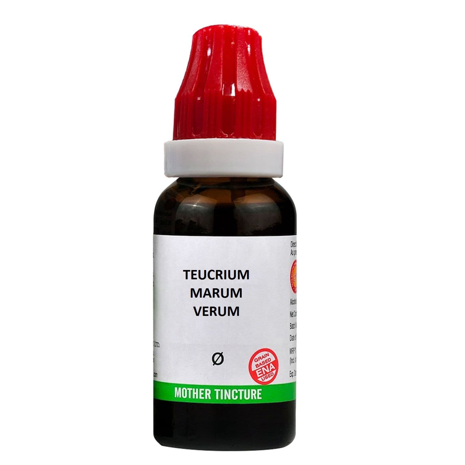 Teucrium Marum Virum 2