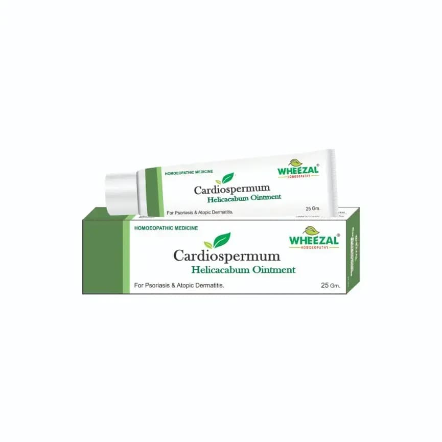 CARDIOSPERMUM HELICACABUM OINTMENT 2