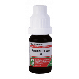 Anagallis Arvensis 3