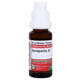 Sarsaparilla 2