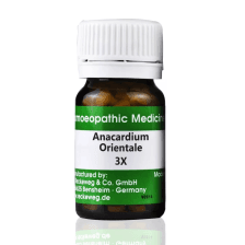 Anacardium Orientale 2