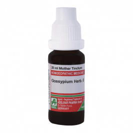 Gossypium Herbaceum 2