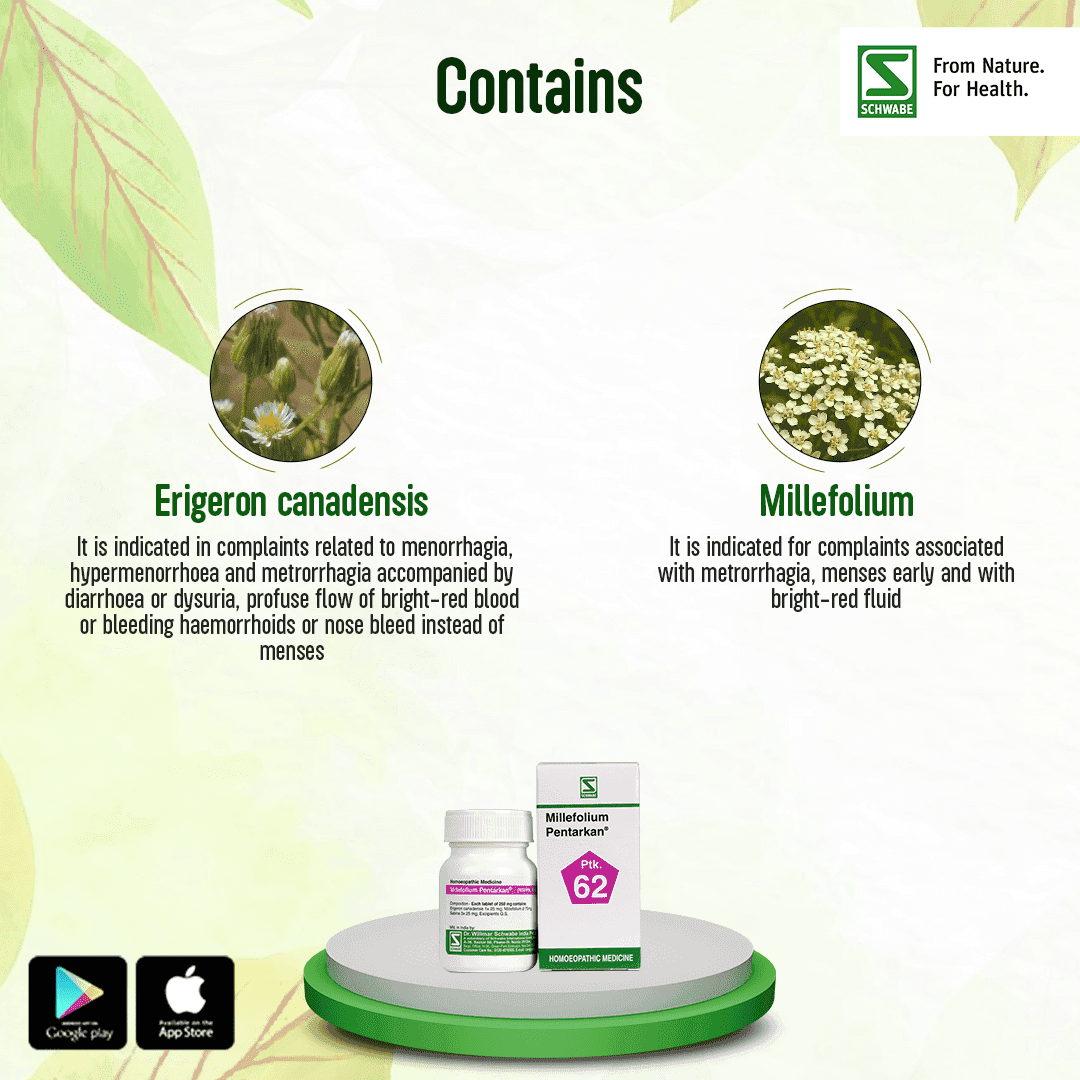 Millefolium Pentarkan* 3