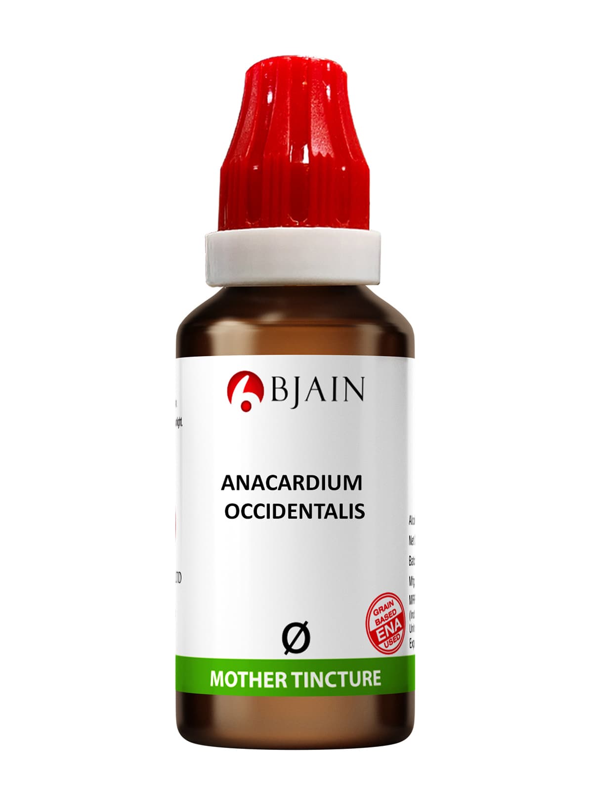 Anacardium Occidentale 10