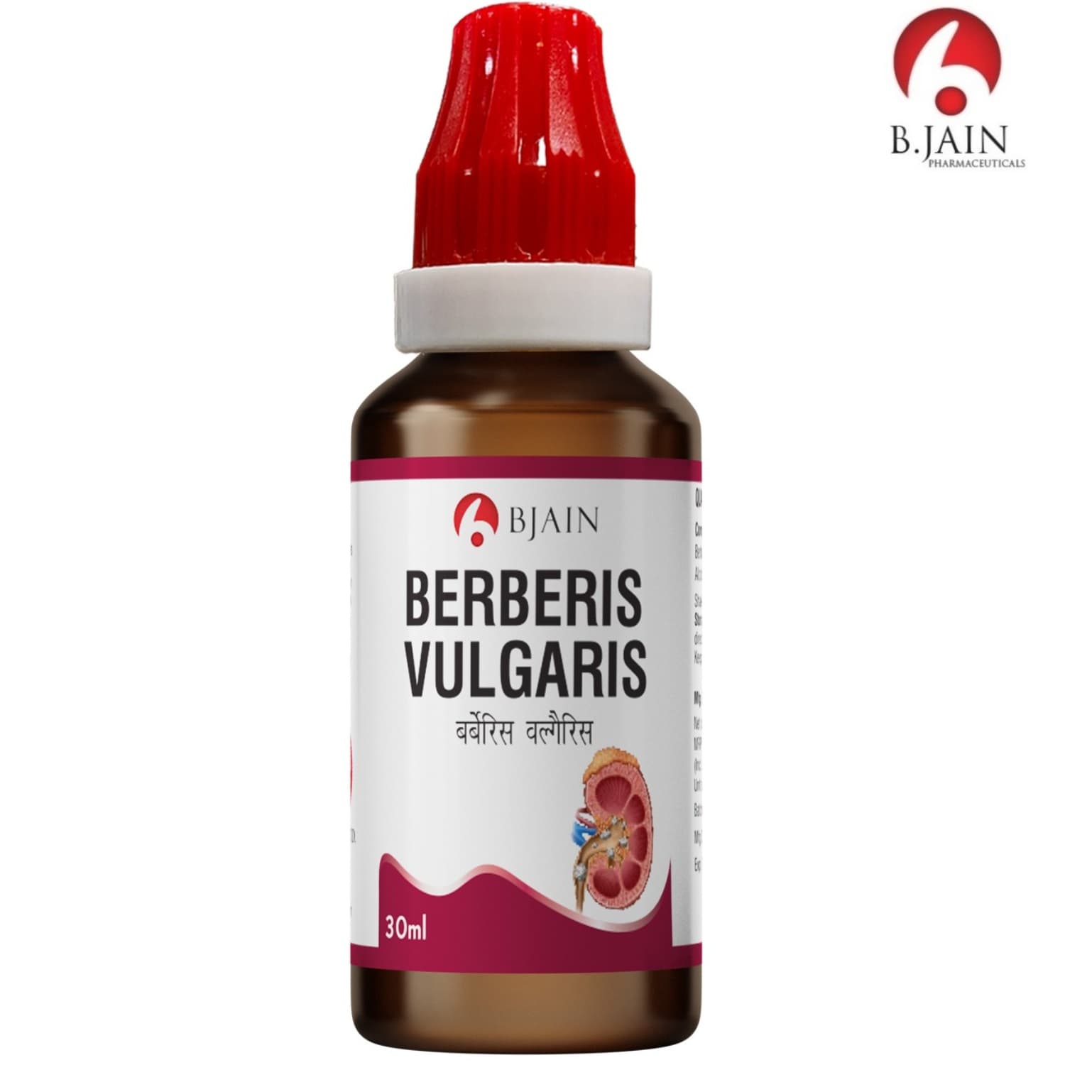 Berberis Vulgaris 16