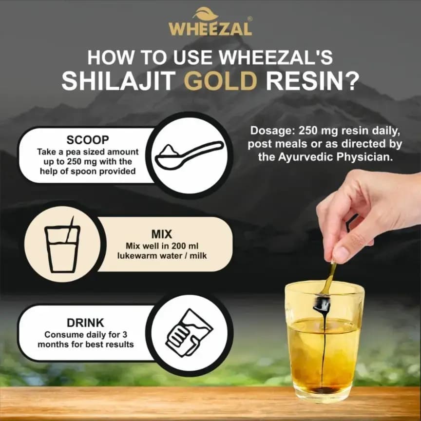 Himalayan Shilajit Gold Resin (20 gm) 2