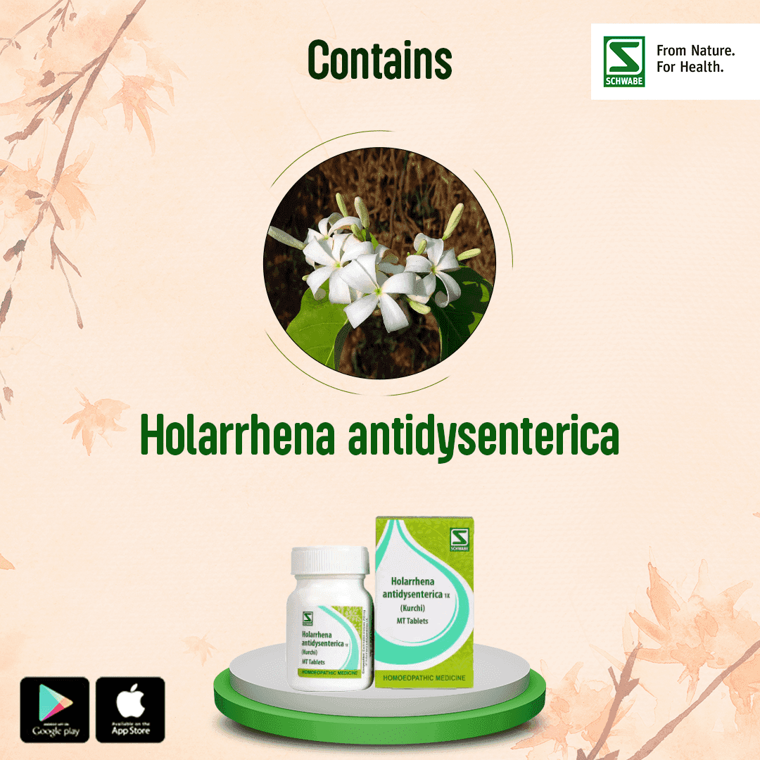 Holarrhena Antidysenterica 3