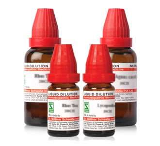 Cupressus Lawsoniana 2