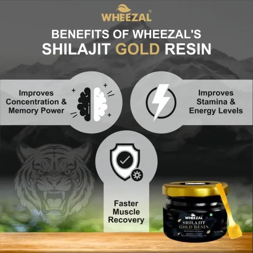 Himalayan Shilajit Gold Resin (20 gm) 3