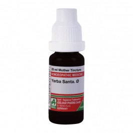 Yerba Santa 3