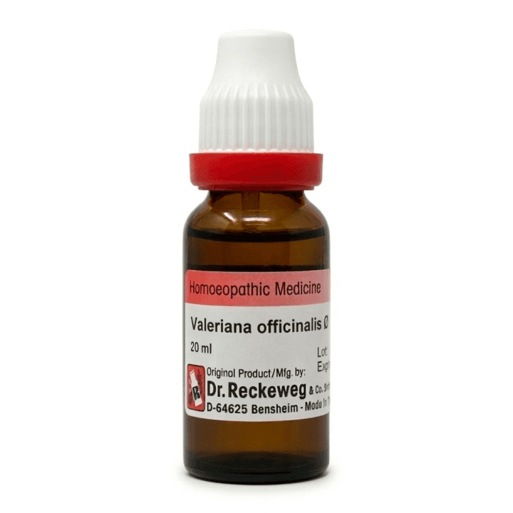 Valeriana Officinalis 2