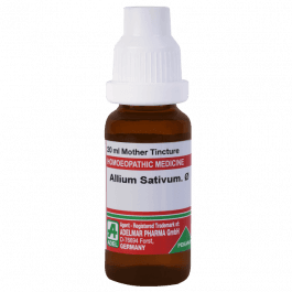 Allium Sativum 2