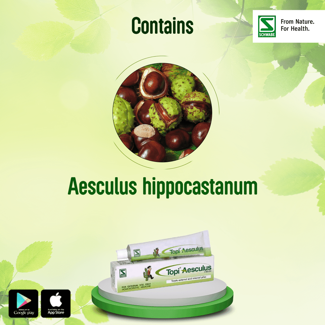 Topi Aesculus Cream 3