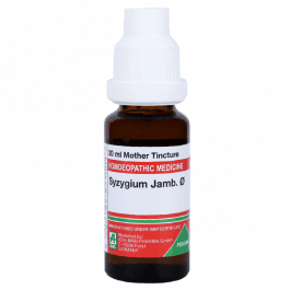 Syzygium Jambolanum 13