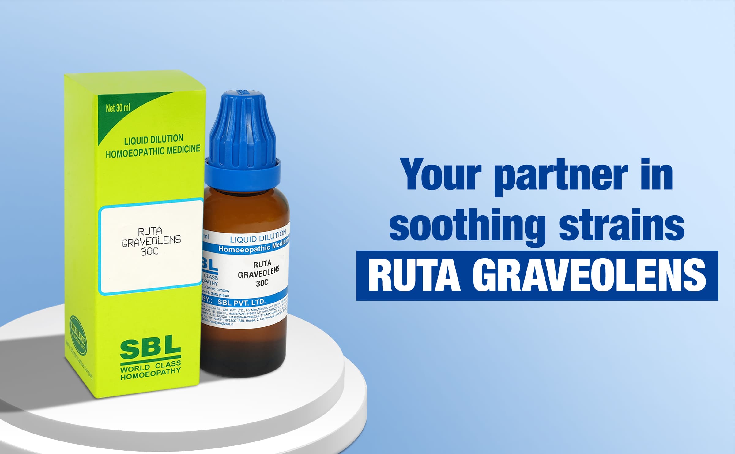 Ruta Graveolens 3