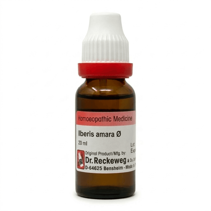 Iberis Amara 2