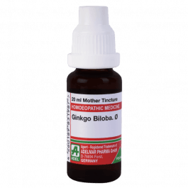 Ginkgo Biloba 4