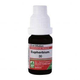 Euphorbium 4