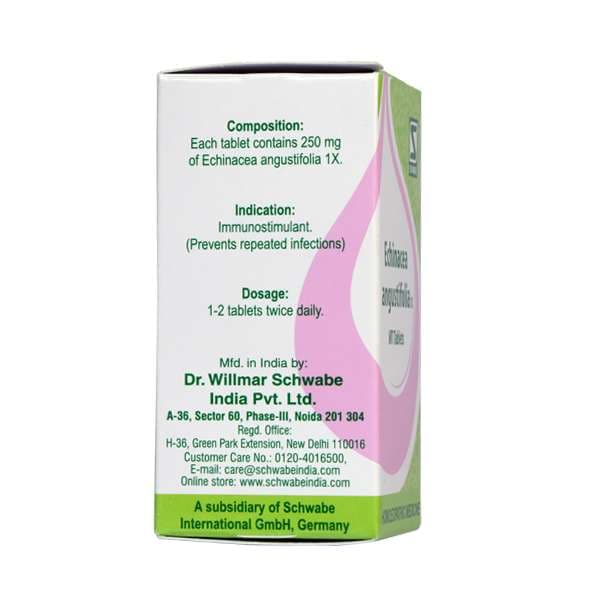 Echinacea Angustifolia 6