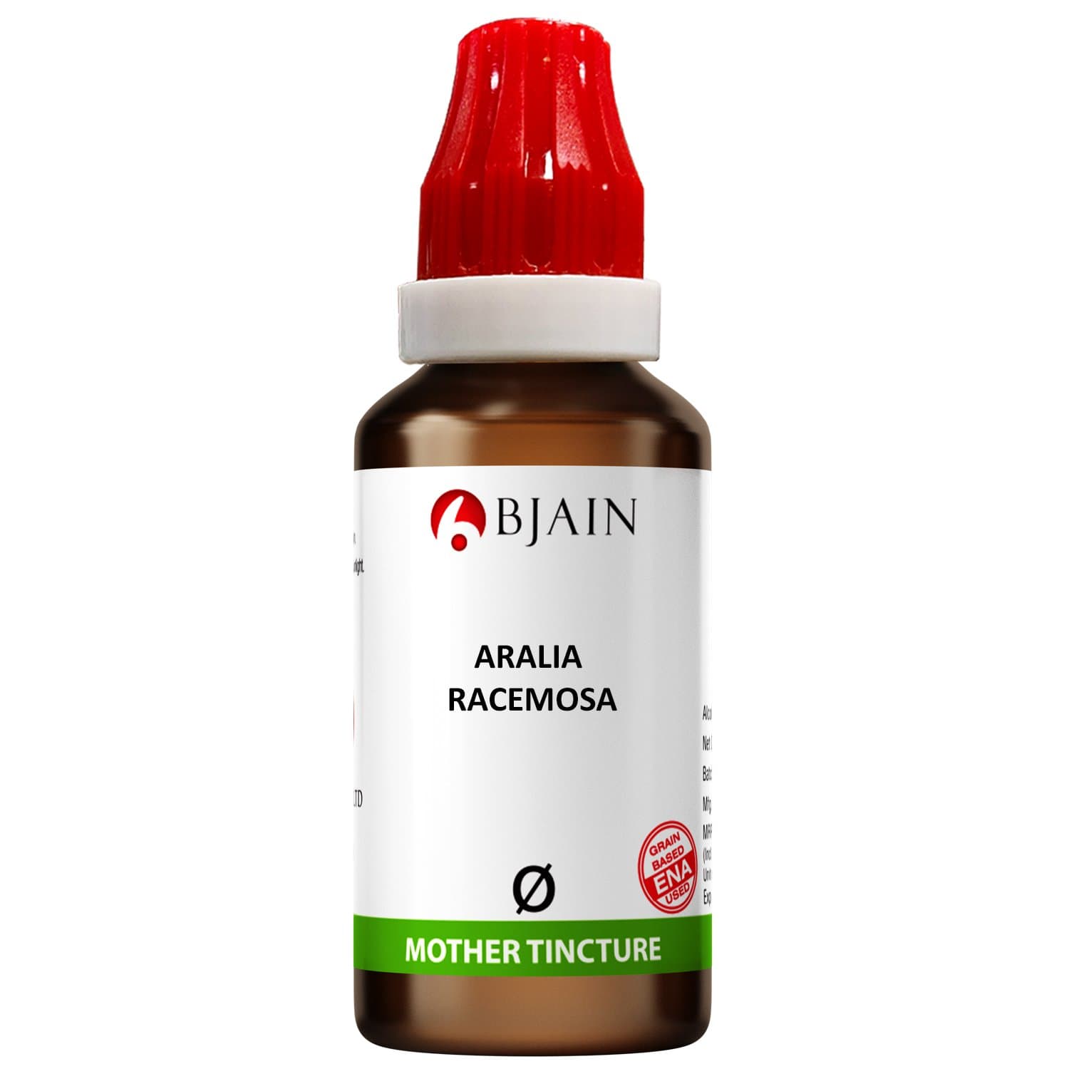 Aralia Racemosa