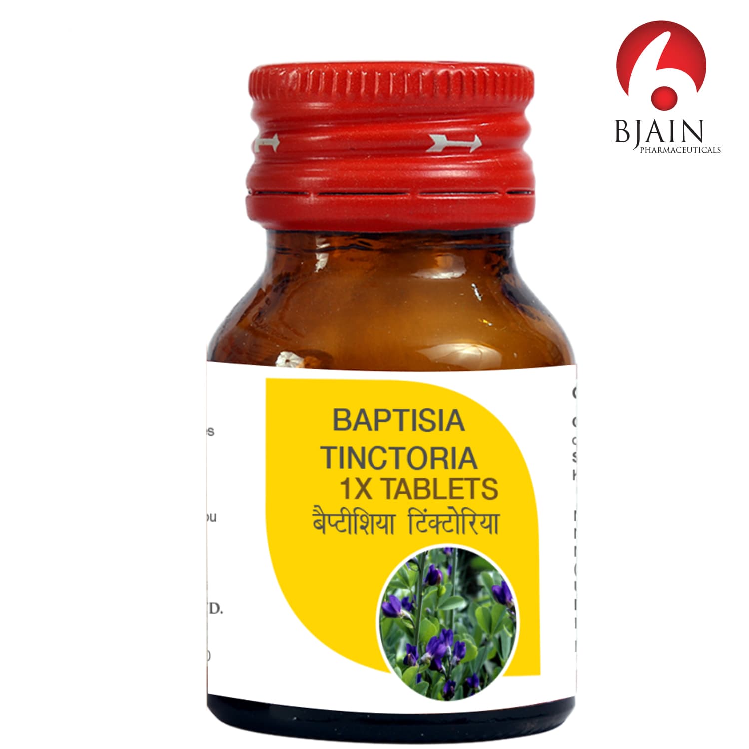 Baptisia Tinctoria 2
