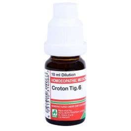 Croton Tiglium 3