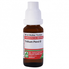 Trillium Pendulum 3