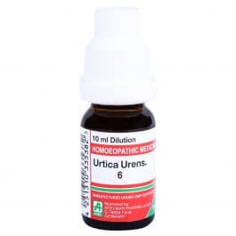 Urtica Urens 6