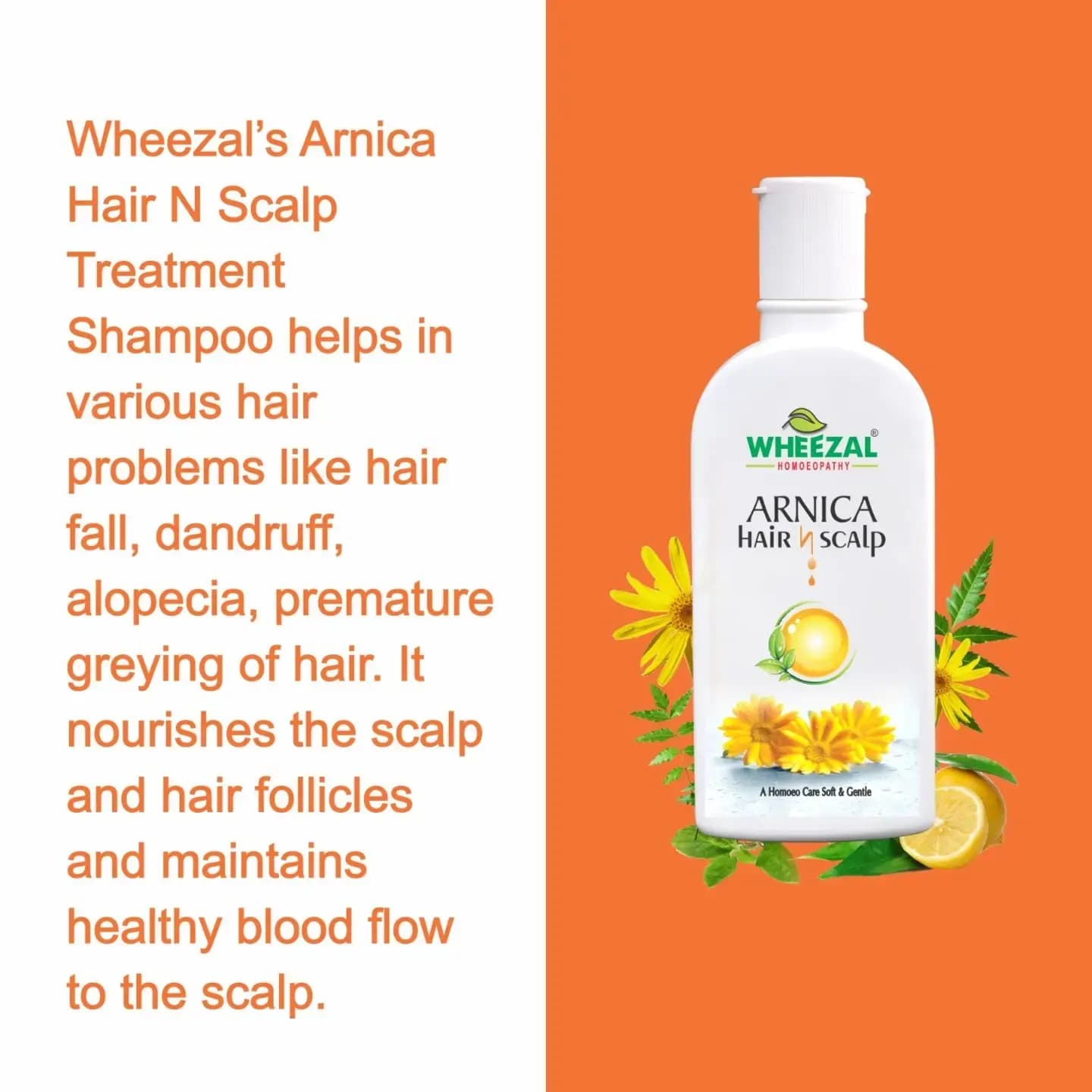 WHEEZAL ARNICA HAIR N SCALP SHAMPOO 5