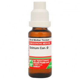Ocimum Canum 15
