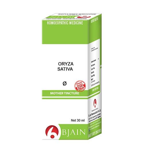Oryza Sativa