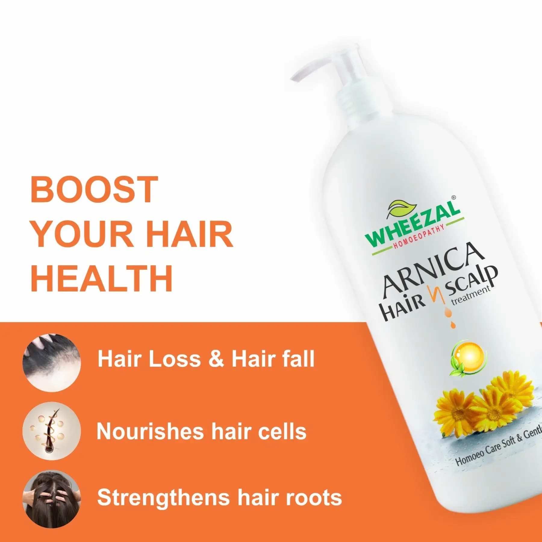 WHEEZAL ARNICA HAIR N SCALP SHAMPOO 3