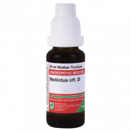 Melilotus Officinalis 3