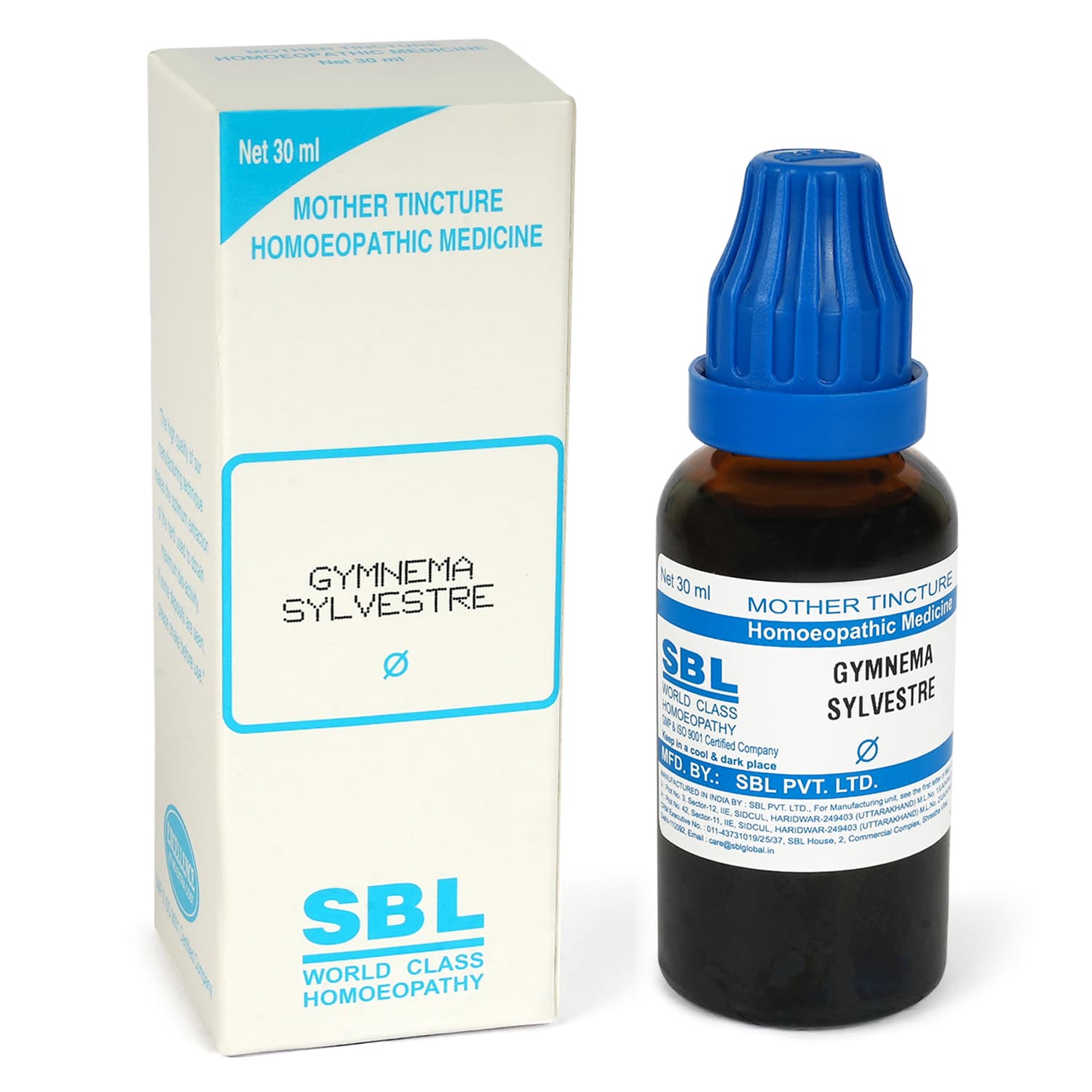 Gymnema Sylvestre 2