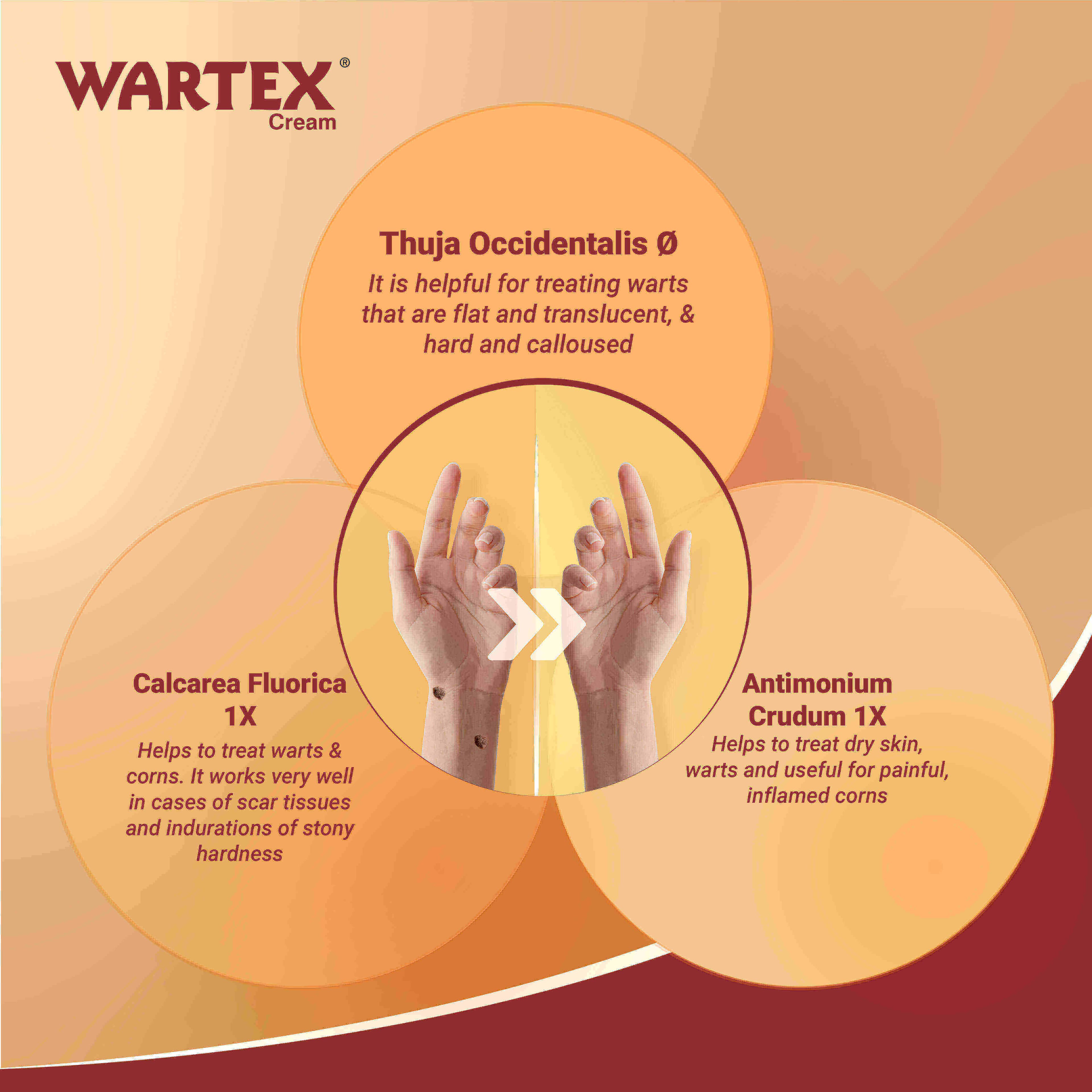 Wartex cream 6