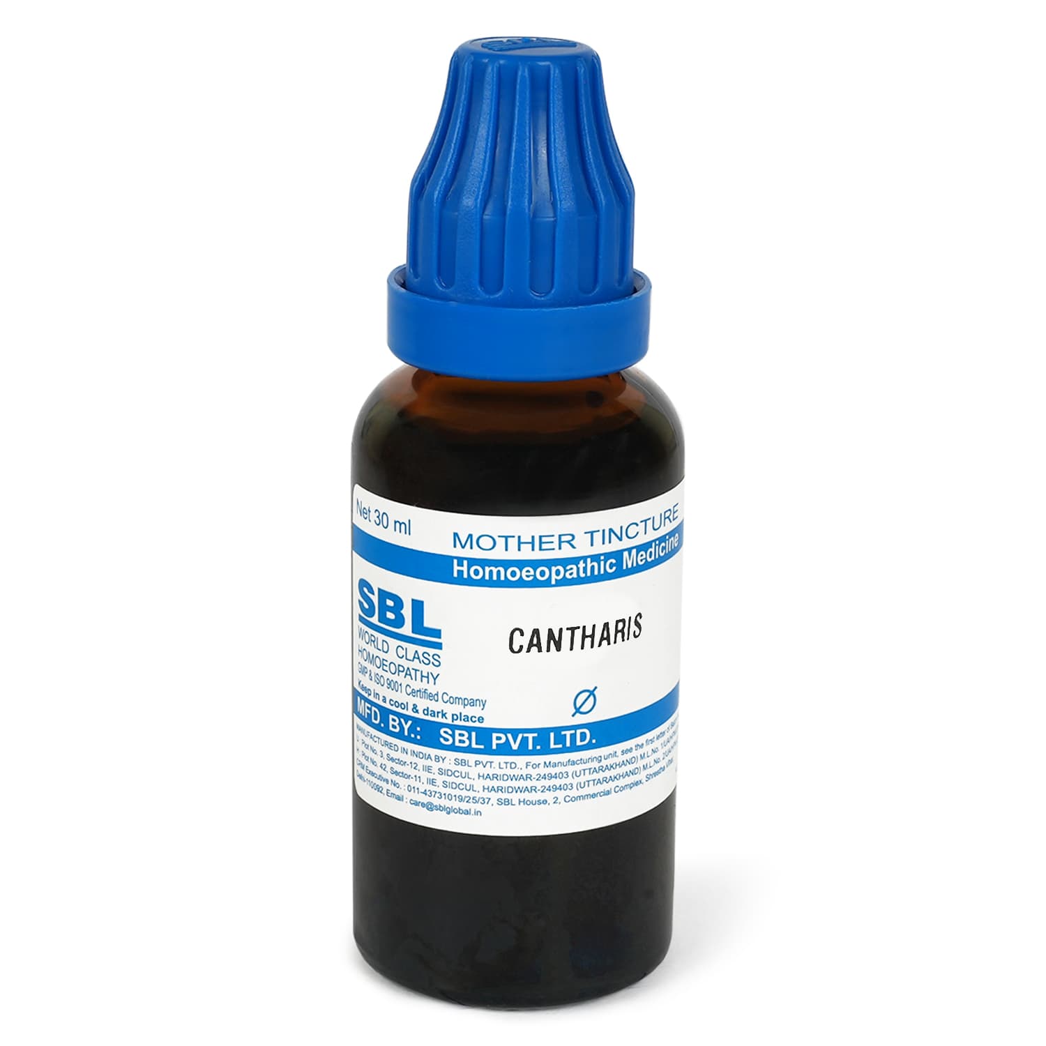 Cantharis 5