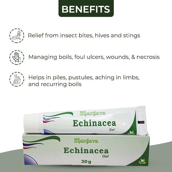 Echinacea Gel 4